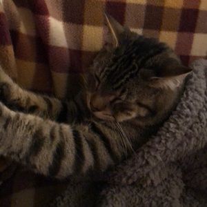 Meet your Posher, Liz